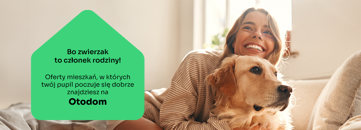 baner najem ze zwierzakiem