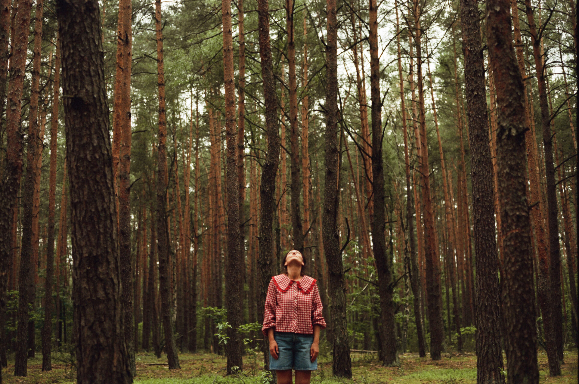 Sensy - kampania TV Otodom