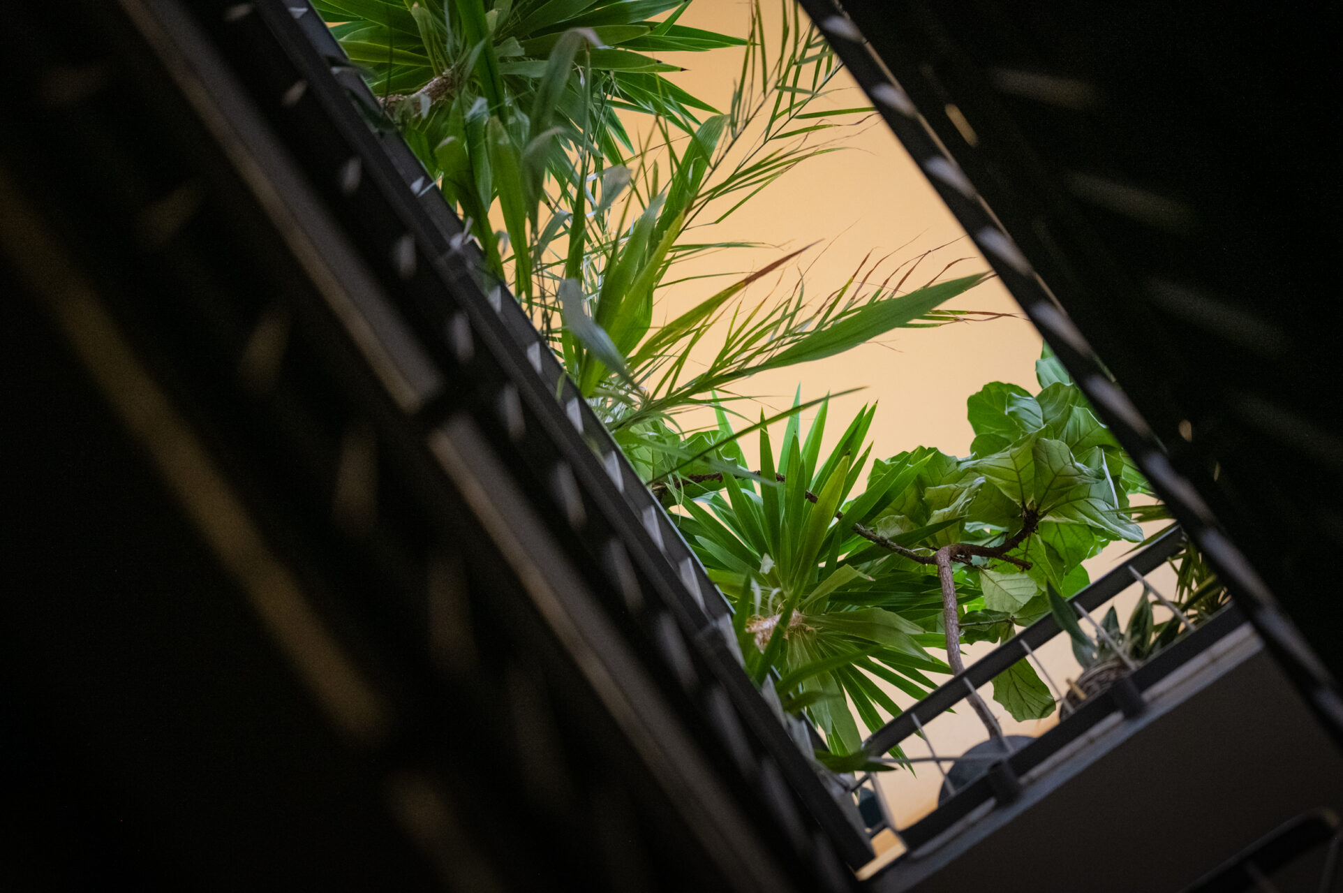 Sens(y) zmian mieszkaniowych