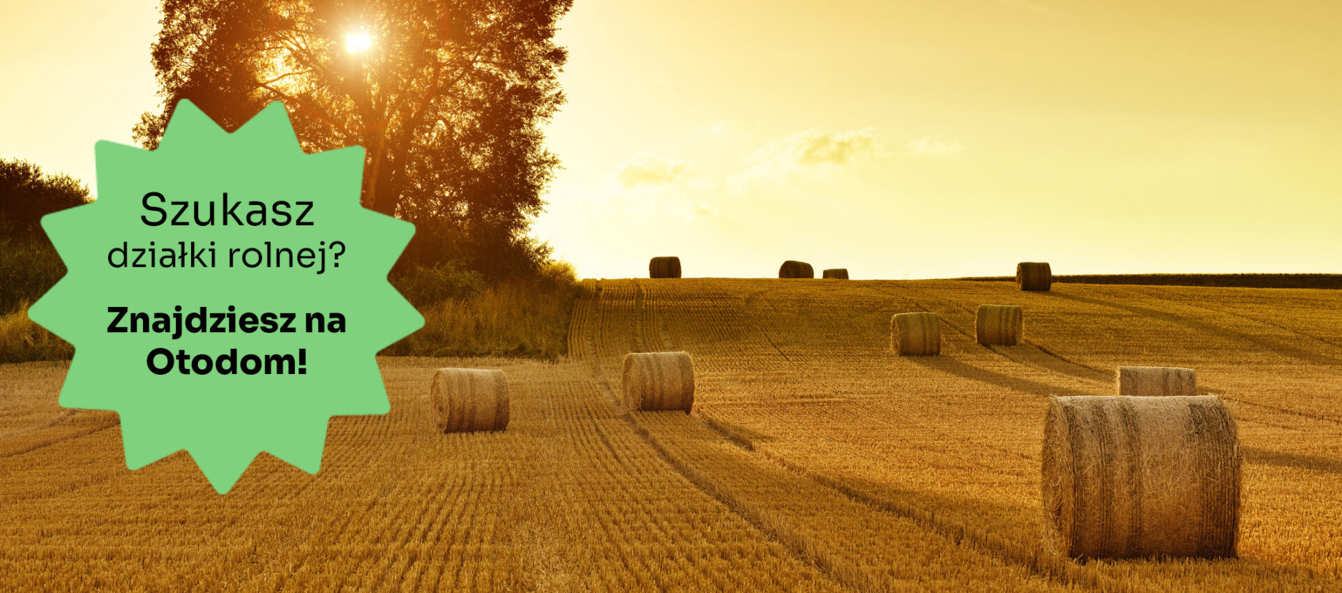 przekształcenie działki rolnej na budowlaną