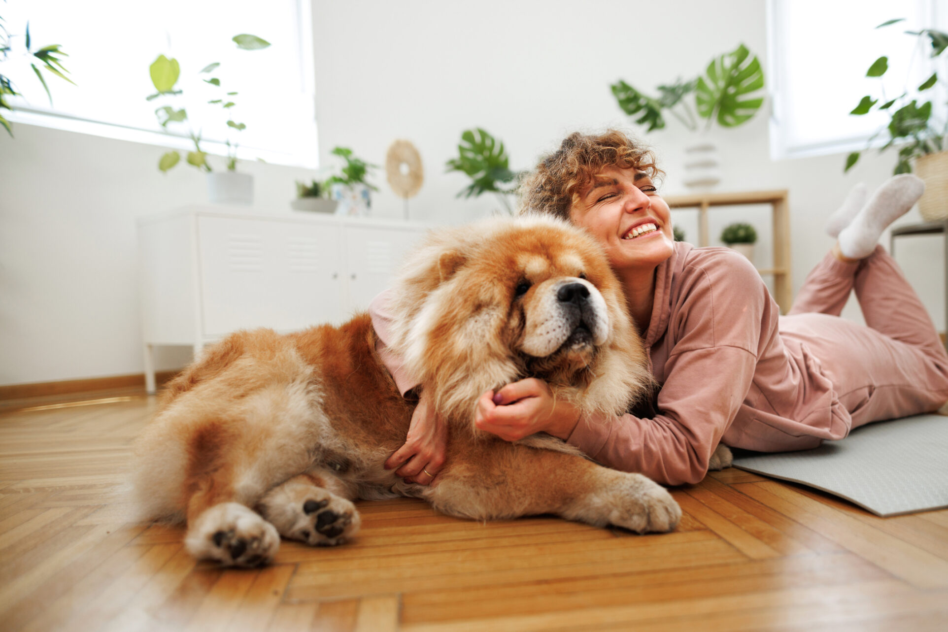 podłoga do mieszkania z psem